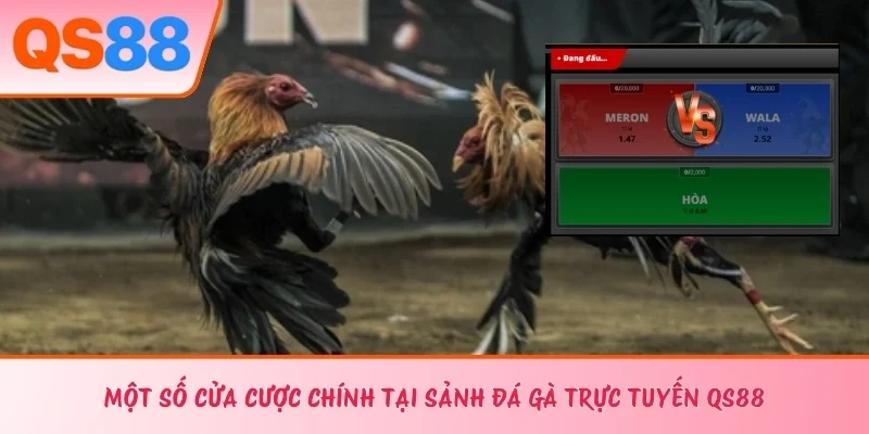 Một số cửa cược chính tại sảnh đá gà trực tuyến QS88