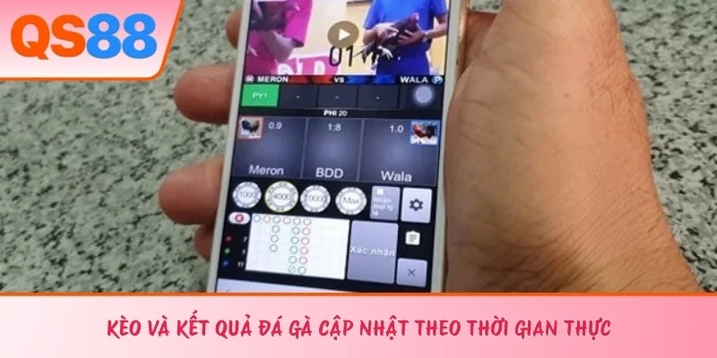Kèo và kết quả đá gà cập nhật theo thời gian thực 